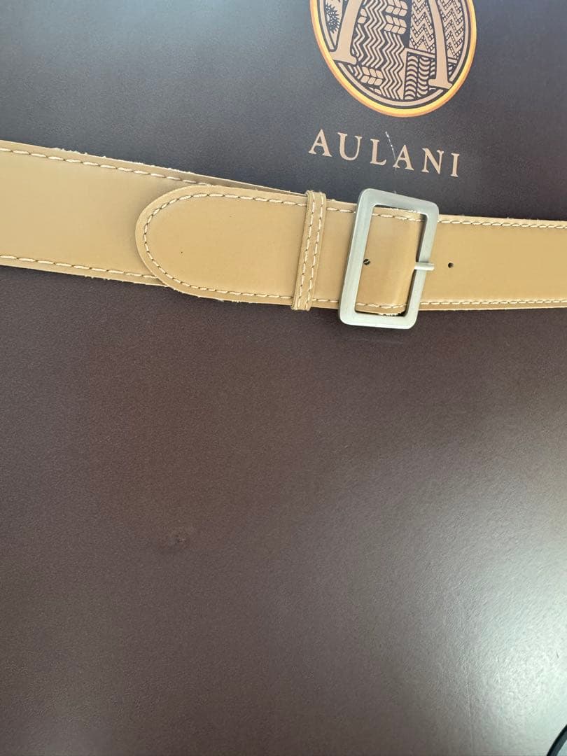 大幅値下げ‼︎【希少品】ハワイ アウラニ ディズニー　キャリーケース　AULANI