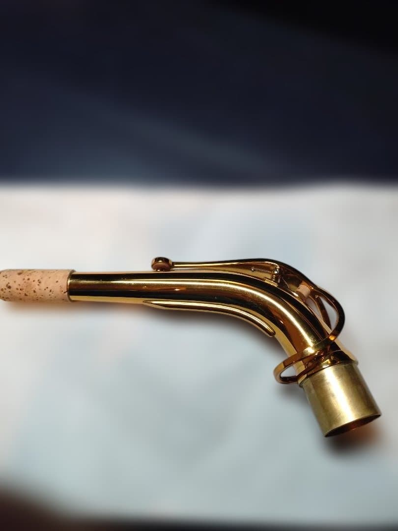 セルマー(Selmer)シュプレームアルトDARK GL(伊東たけし)選定品