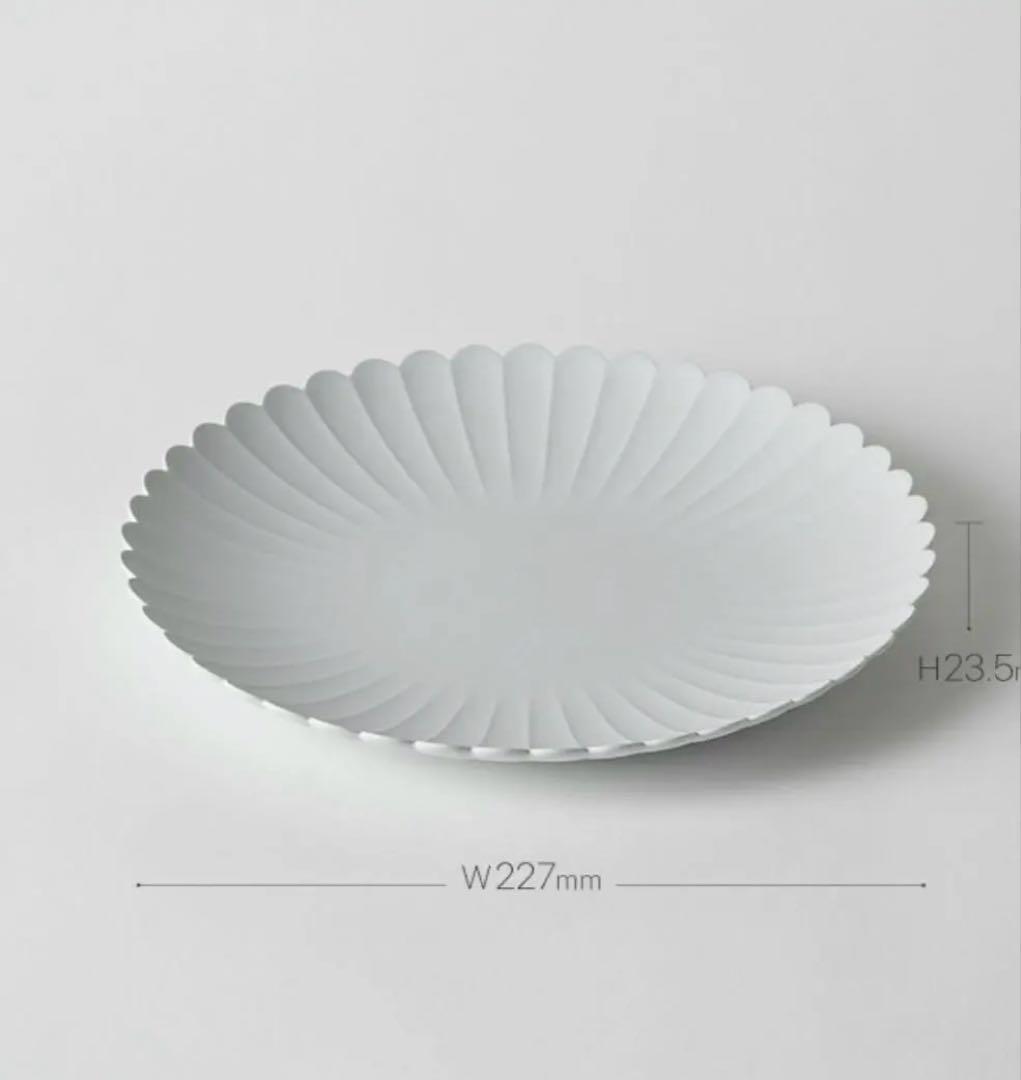 1616/arita japan TY パレスプレート 220 食器 有田焼