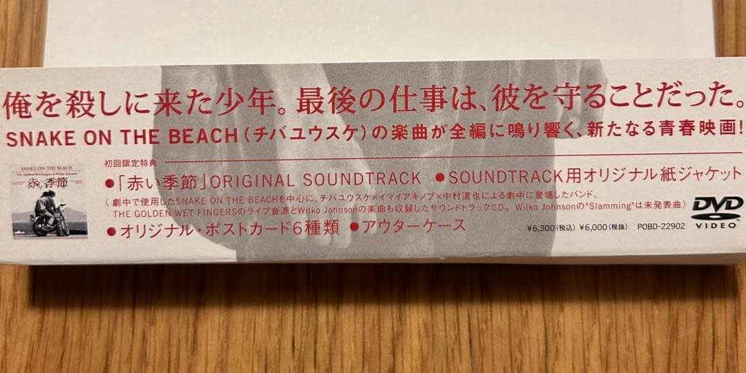 赤い季節(初回限定盤) DVD +CD新井浩文 チバユウスケ 中村達也