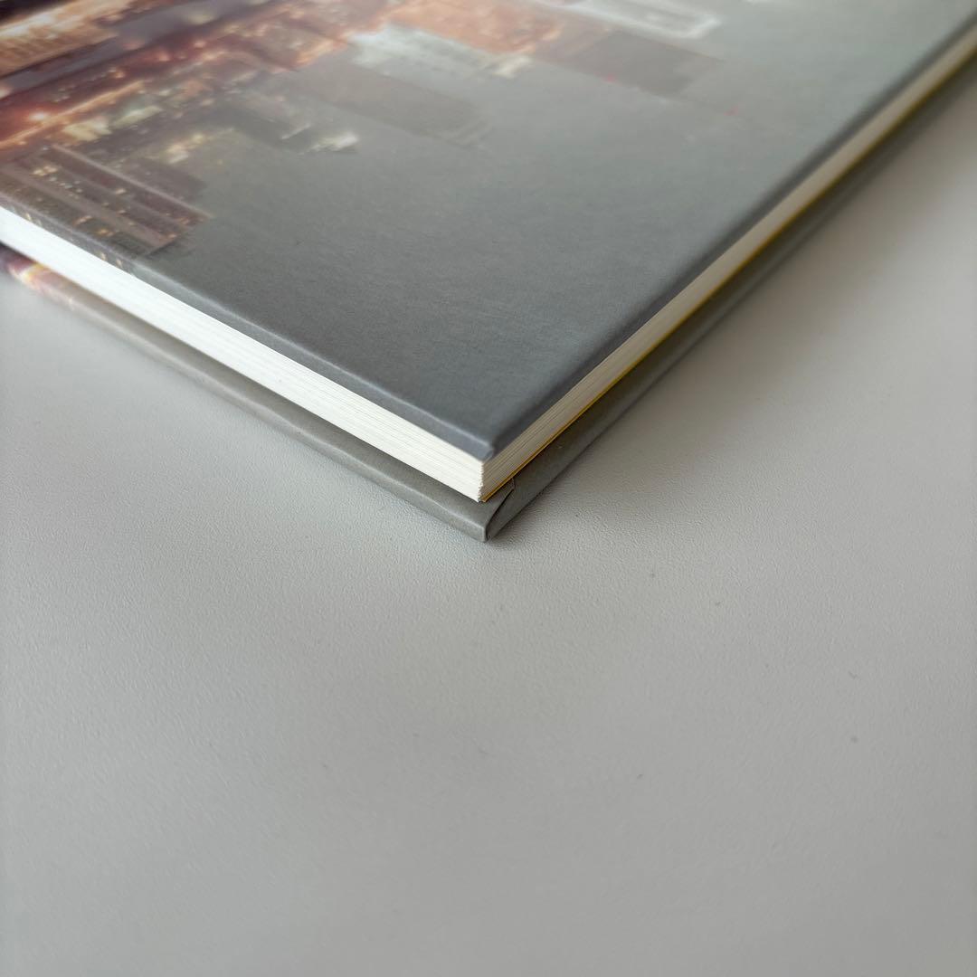 洋書 neon tigers / Peter Bialobrzeski