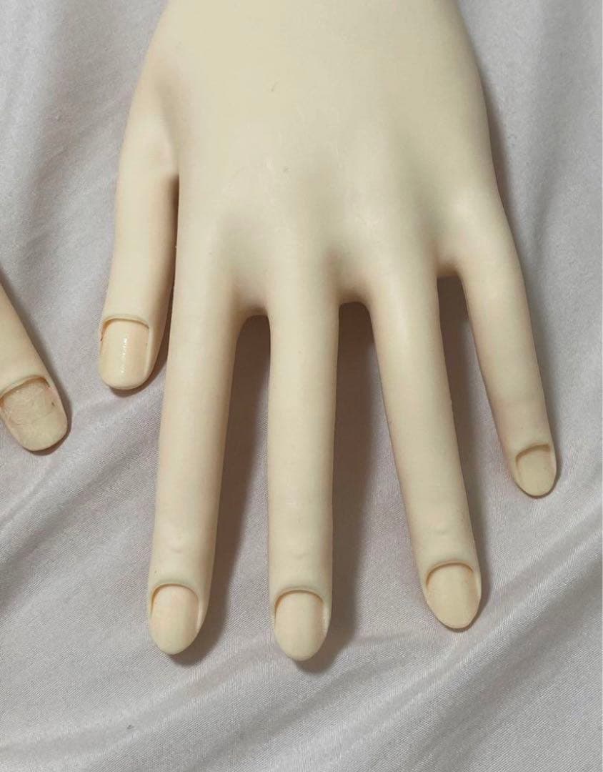 骨折なし 一度使用 JNEC 認定モデルハンド