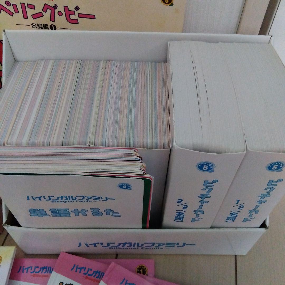 家庭保育園　種まきイングリッシュ　フラッシュカード