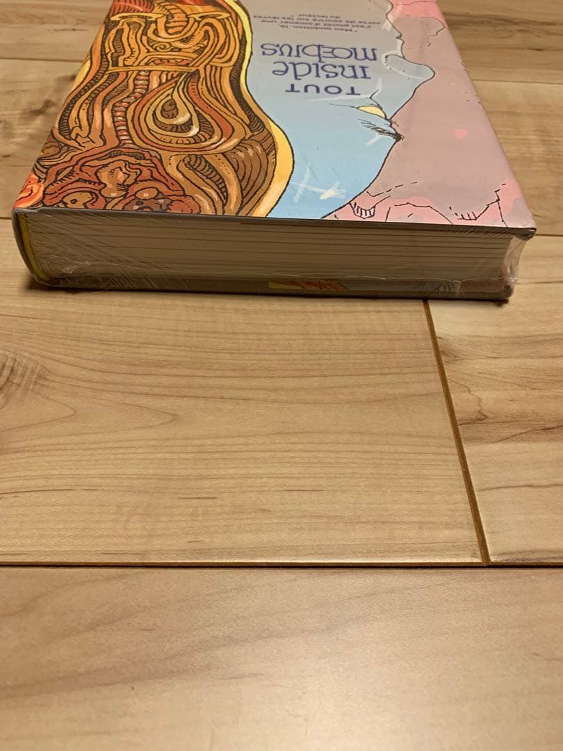 ★TOUT INSIDE MOEBIUS メビウス