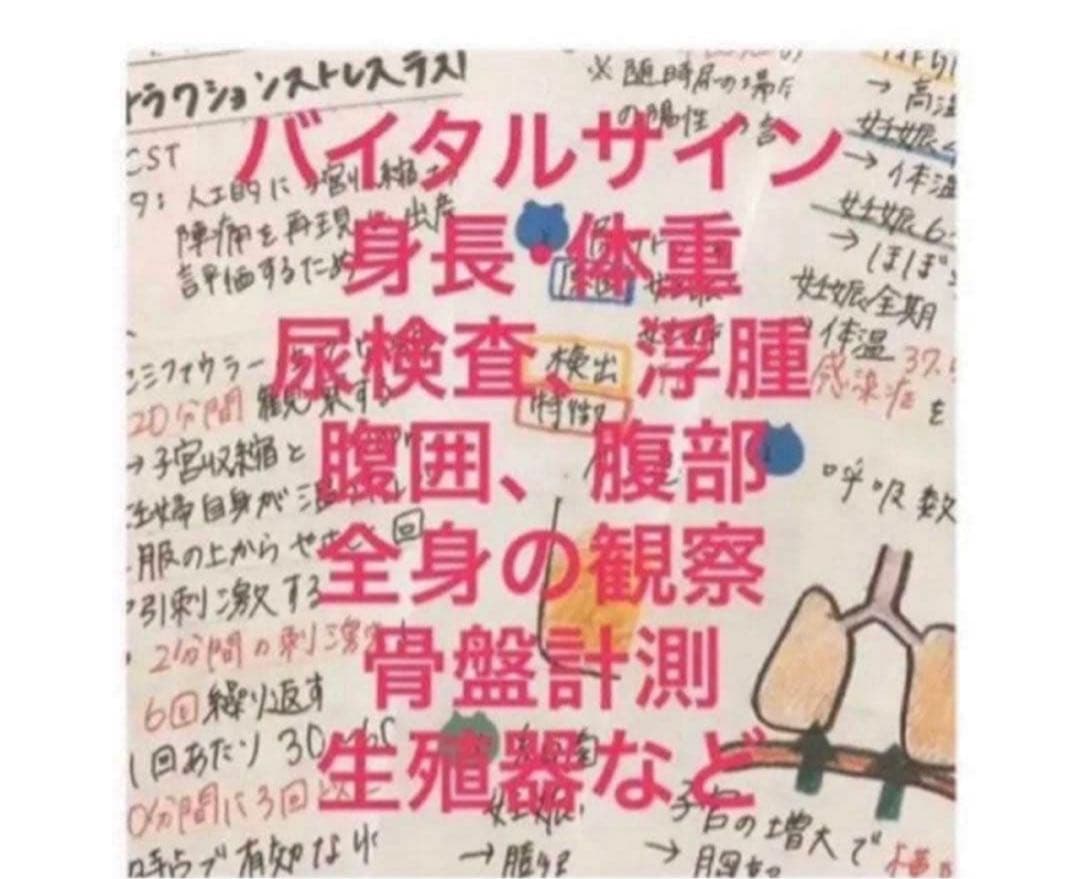 助産師　助産学生　実習国家試験対策味方セット　解剖帝王切開　フィジカル　事前学習