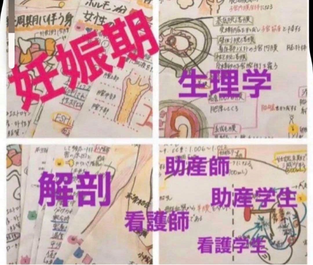 助産師　助産学生　実習国家試験対策味方セット　解剖帝王切開　フィジカル　事前学習