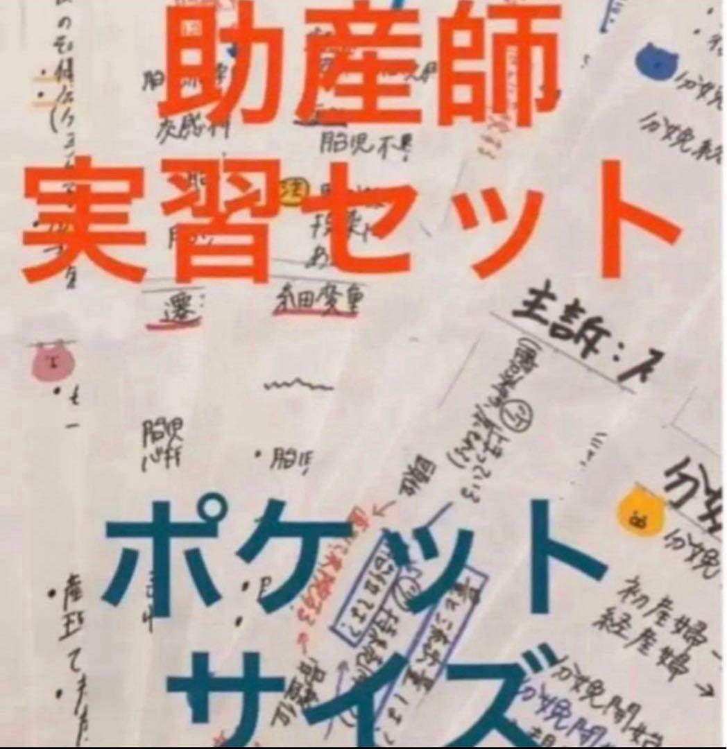 助産師　助産学生　実習国家試験対策味方セット　解剖帝王切開　フィジカル　事前学習