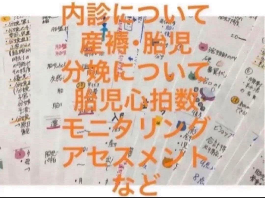 助産師　助産学生　実習国家試験対策味方セット　解剖帝王切開　フィジカル　事前学習