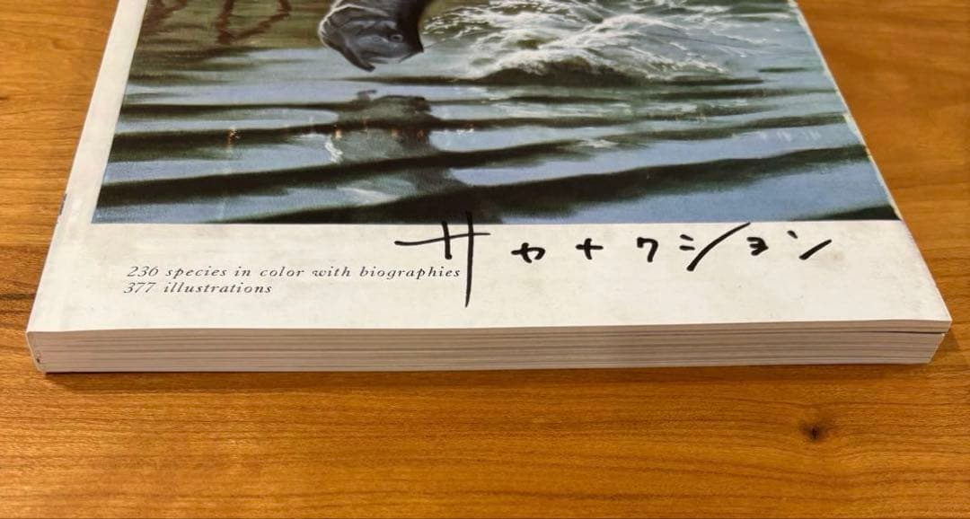 魚図鑑 3CD 魚大図鑑 完全生産限定 プレミアムBOX盤 サカナクション