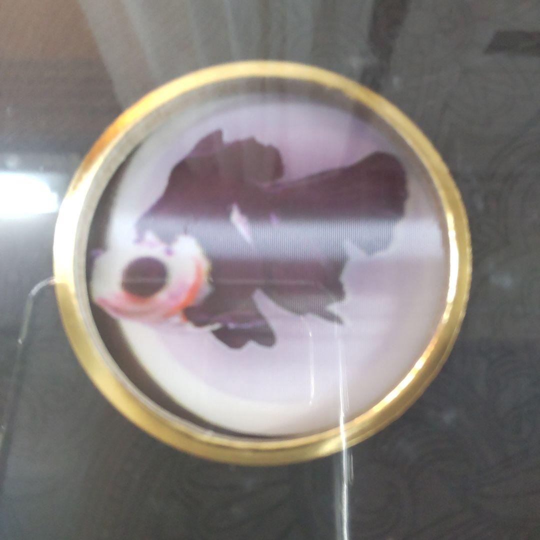 【未開封新品】シュリンク有　中国金魚図鑑・専門書