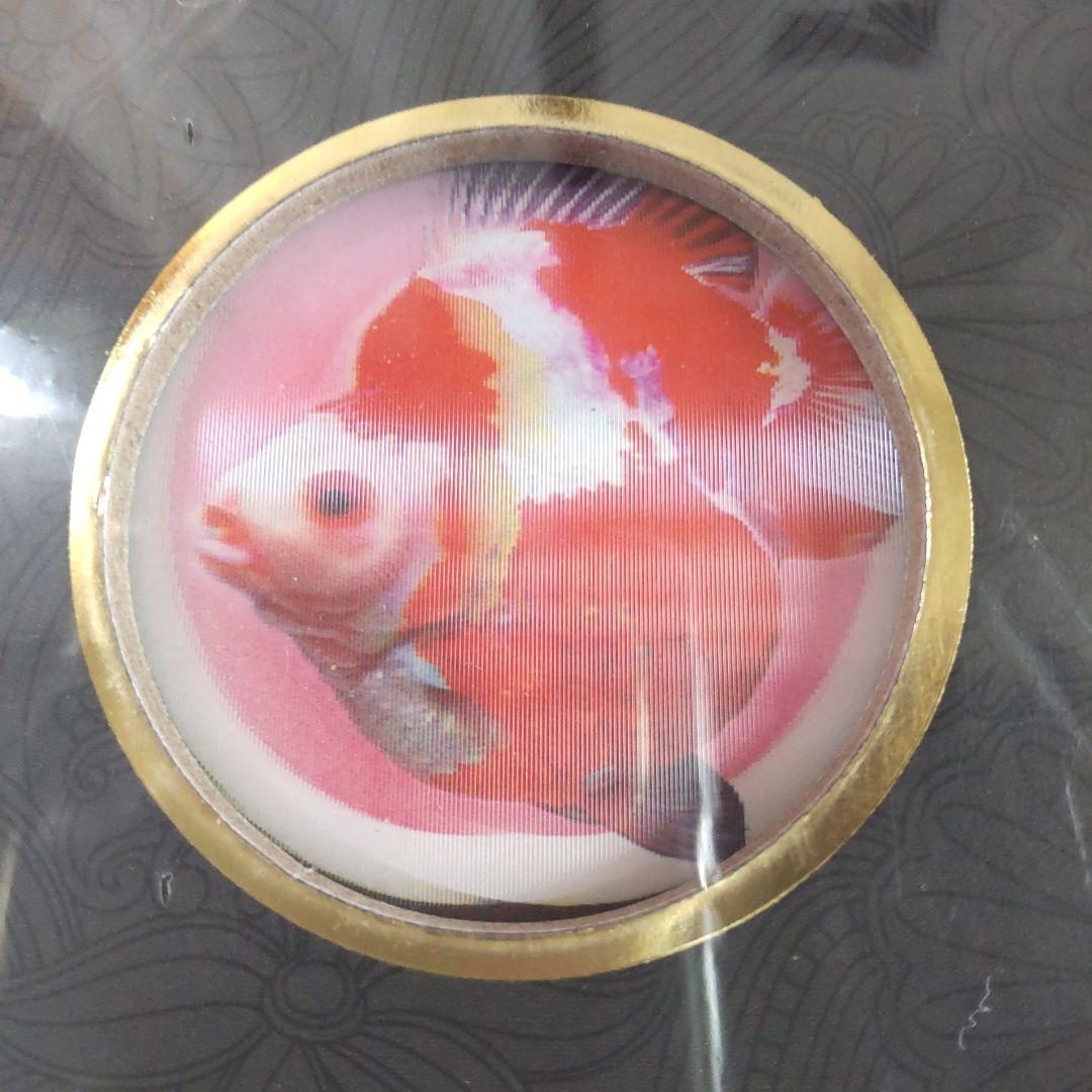 【未開封新品】シュリンク有　中国金魚図鑑・専門書