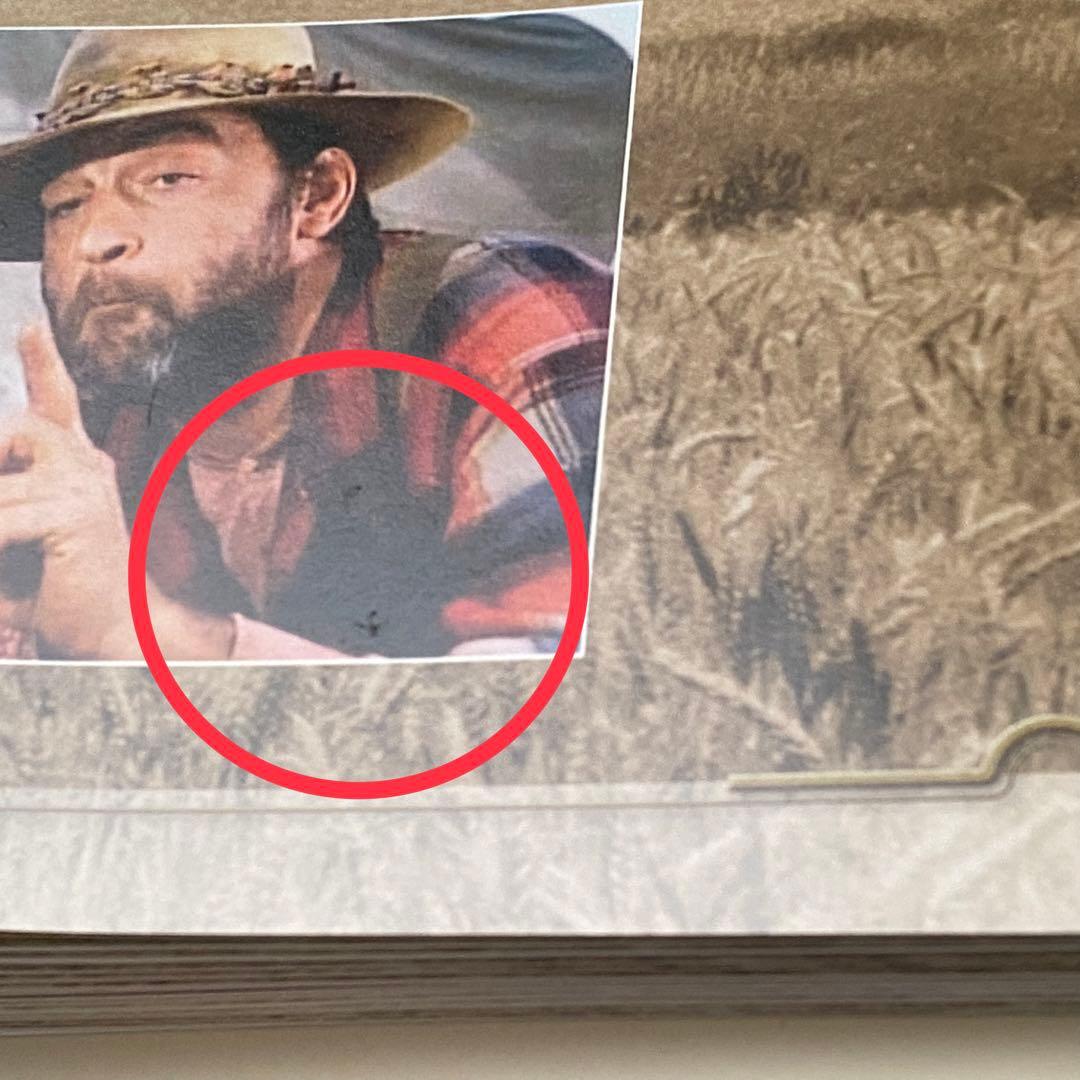 【全巻セット】大草原の小さな家DVDコレクション デアゴスティーニ　専用棚冊子付