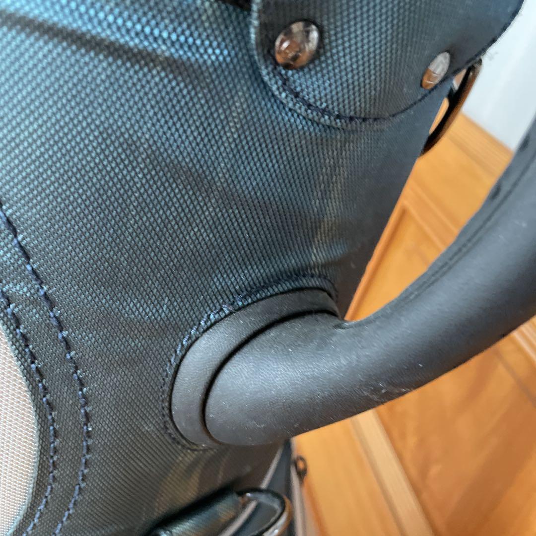 タイガーウッズ　キャディバック