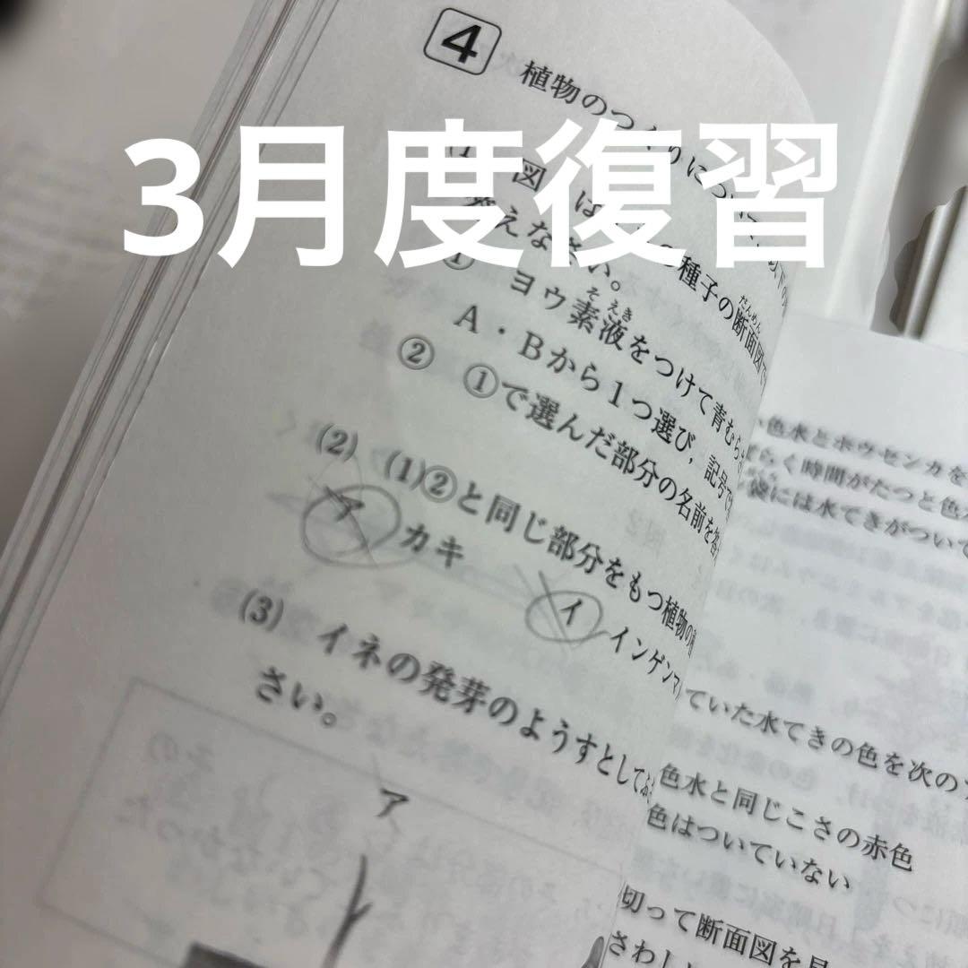 SAPIX 2015年実施の5年生テスト 8回分 復習/マンスリー/実力診断など