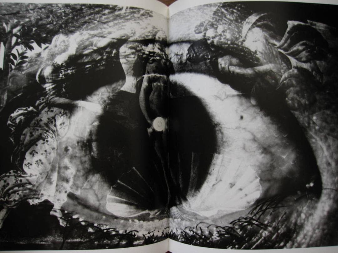 薔薇刑 細江英公 三島由紀夫 初版 帯付き