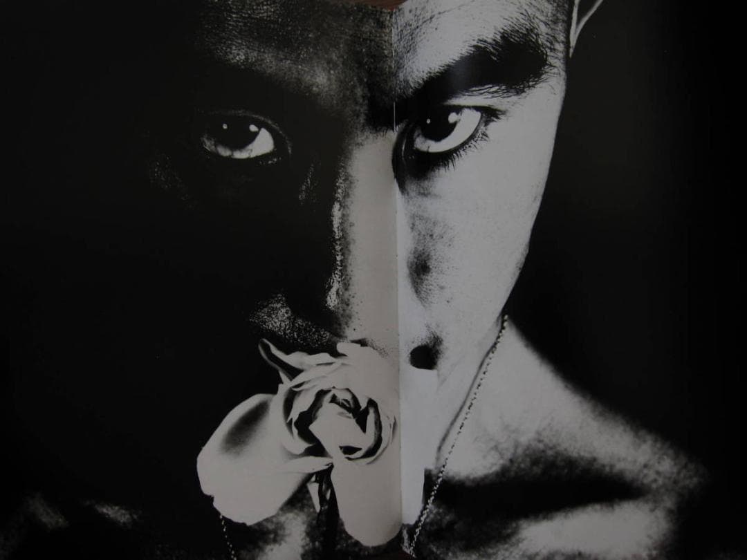 薔薇刑 細江英公 三島由紀夫 初版 帯付き