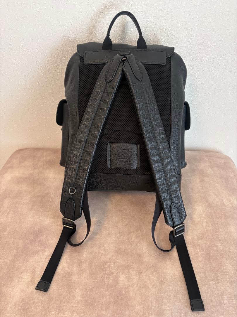 【COACH】 ハドソン バックパック シボ革 大容量 A4 黒