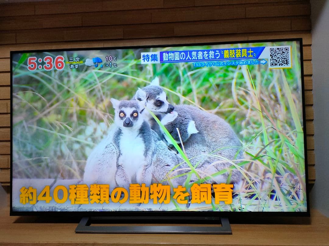 TOSHIBA東芝レグザREGZA５５型５５インチ55M530X☆4k液晶テレビ