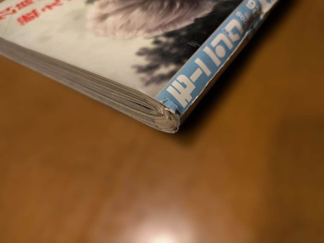 週刊モーニング　2009年6月11日　バカボンド　乱丁本