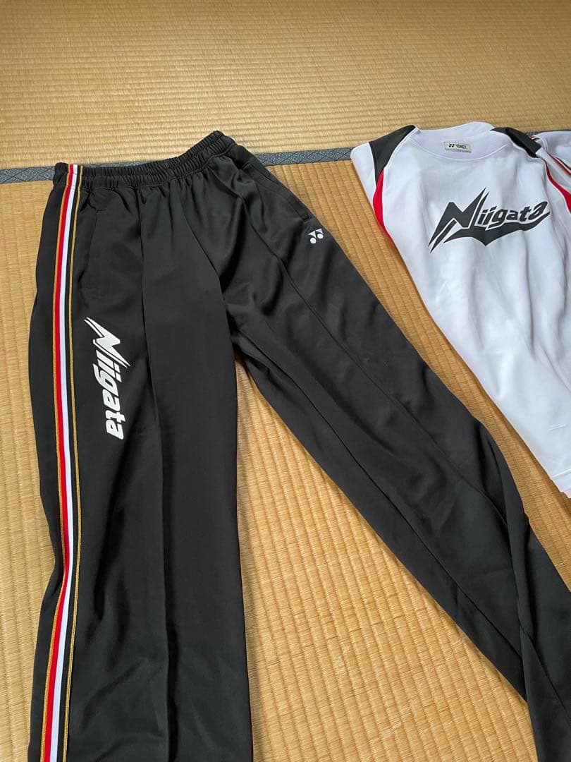 代表ジャージ　国体ジャージ 新潟デザイン ジャージ