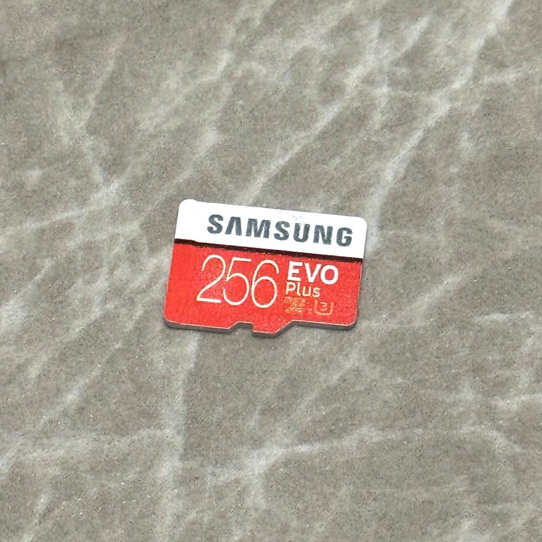 Nintendo Switch 本体のみ＋SDカード256GB