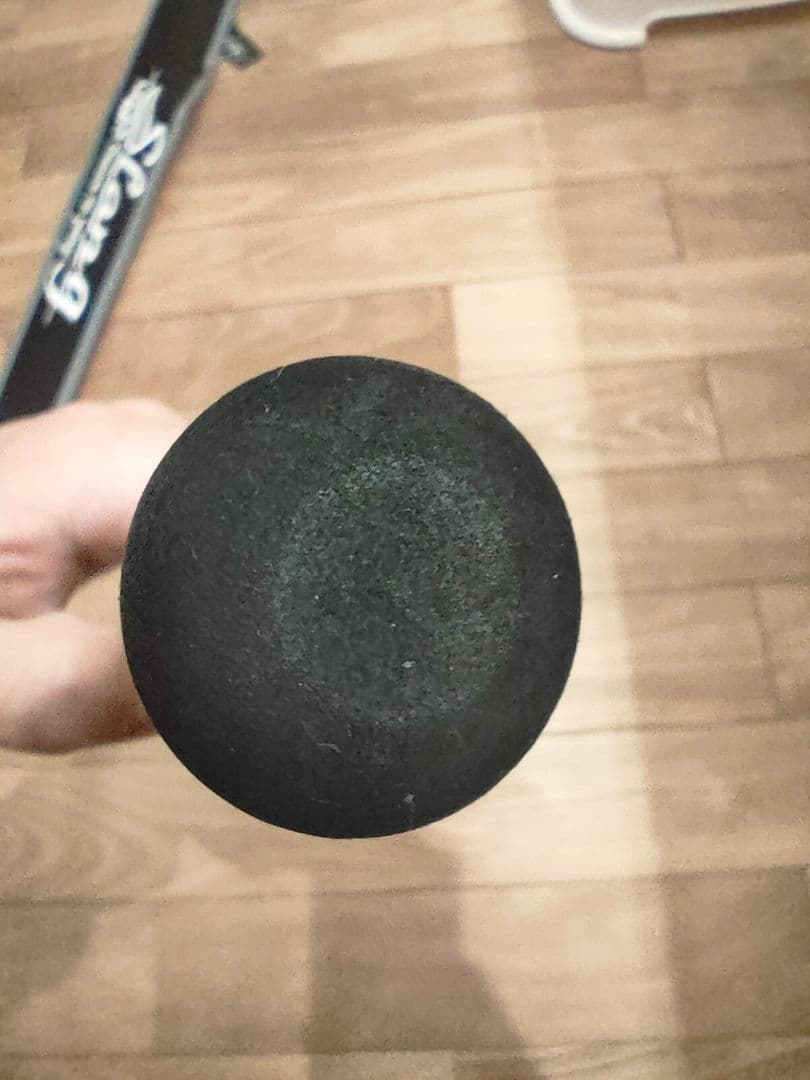 Slang \"SHADY\" バスロッド