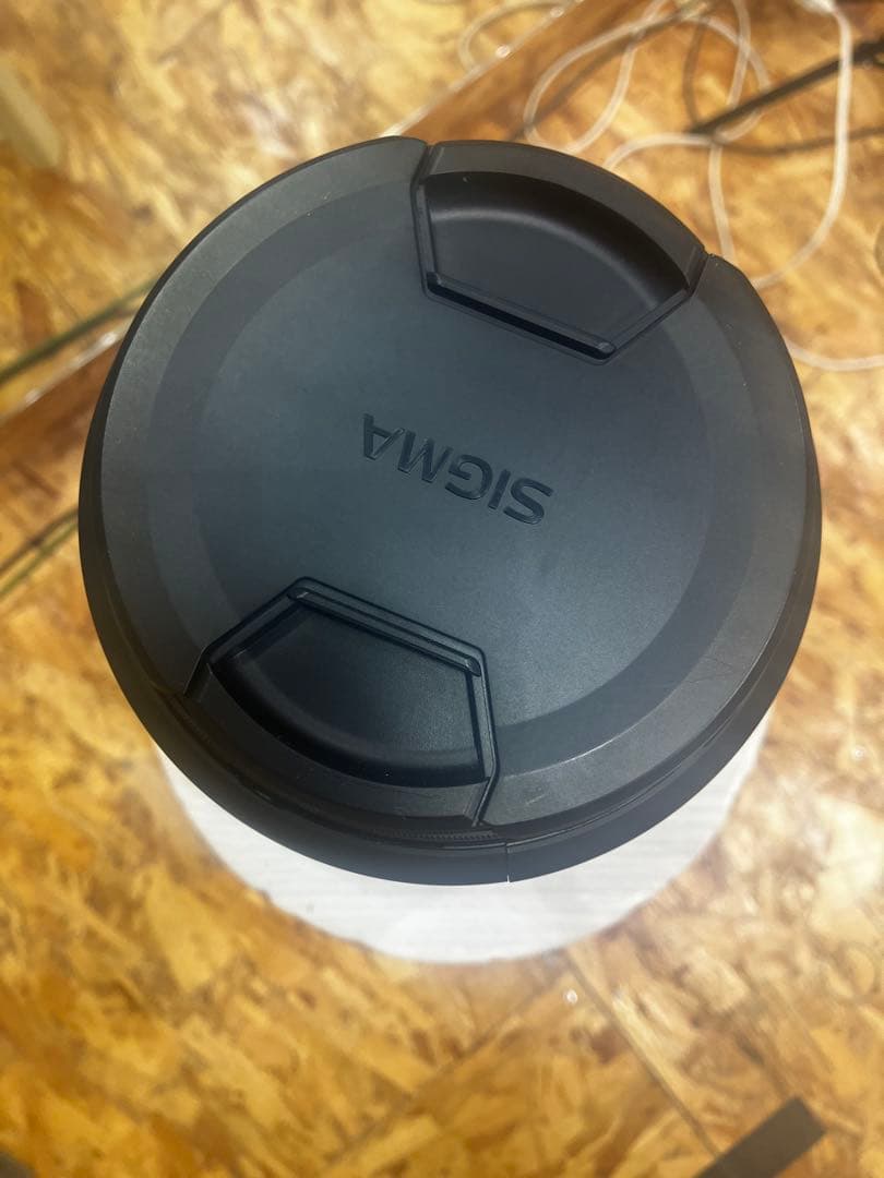 シグマ APO 120-300mm F2.8 EX DG OS HSM EF