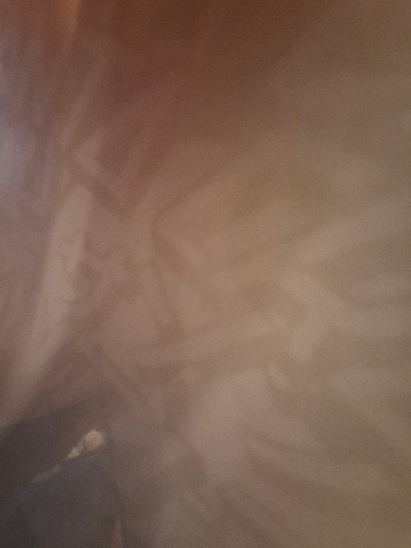 サンタクルズ　スクリーミングハンド　スノーボード　未使用　154(実測)