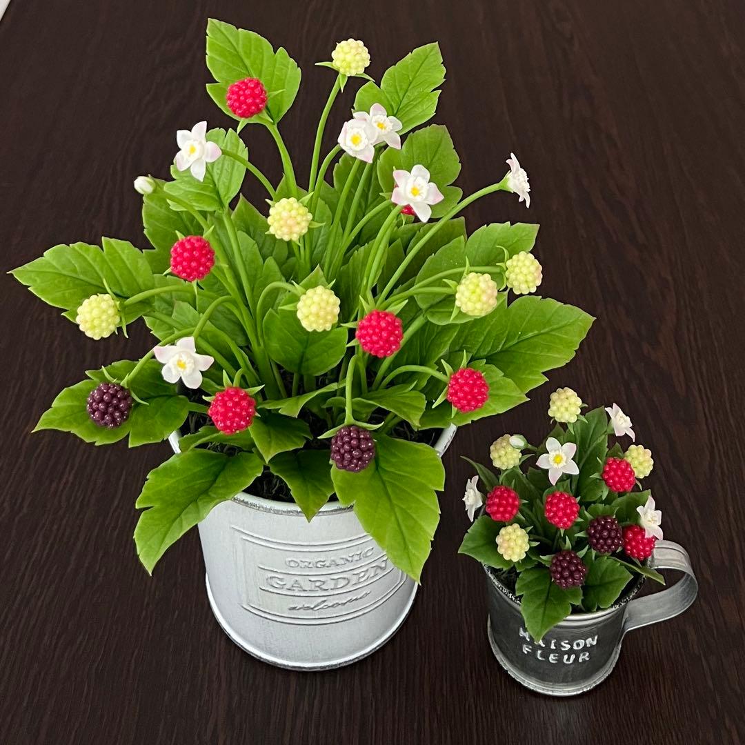 専用　ラズベリー鉢植え　ケイトウ　ラベンダー　クローバー　クレイフラワー