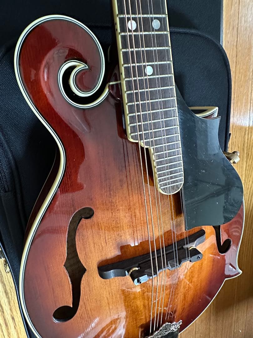 STAFFORD Traditional マンドリン 本体 ハードケース付き