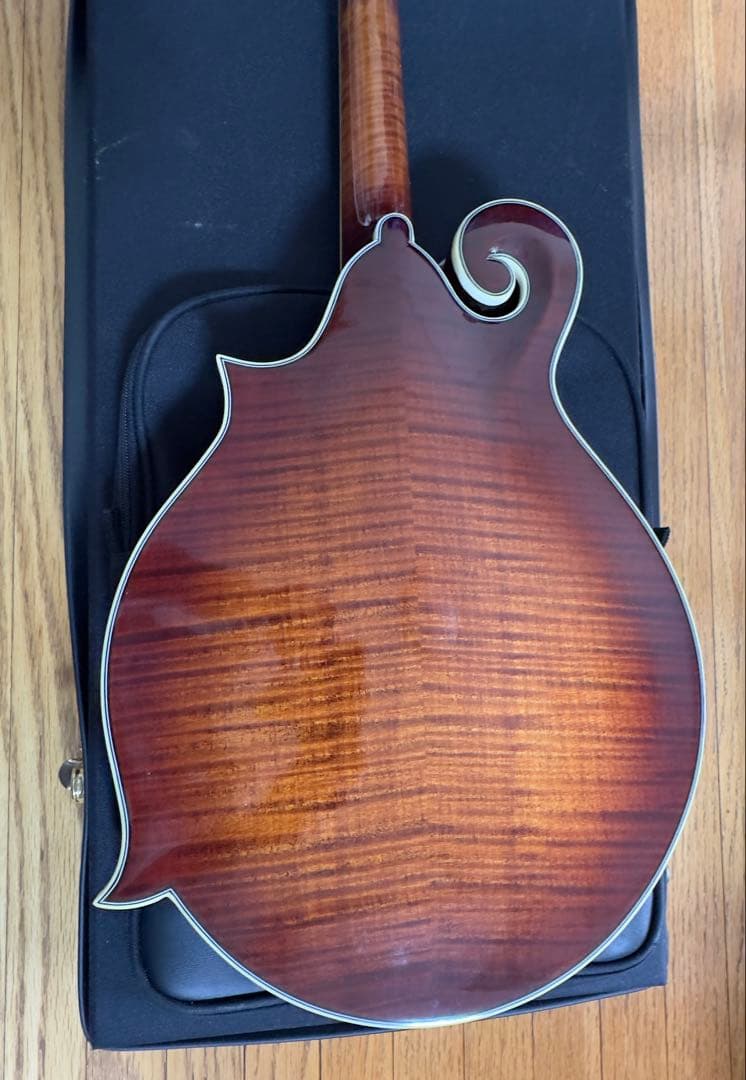 STAFFORD Traditional マンドリン 本体 ハードケース付き