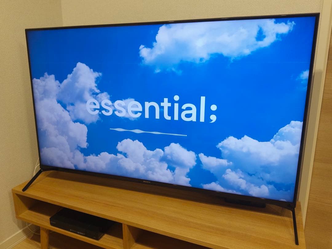 和田テレビ ソニー BRAVIA XRJ-50X90J 50インチテレビ