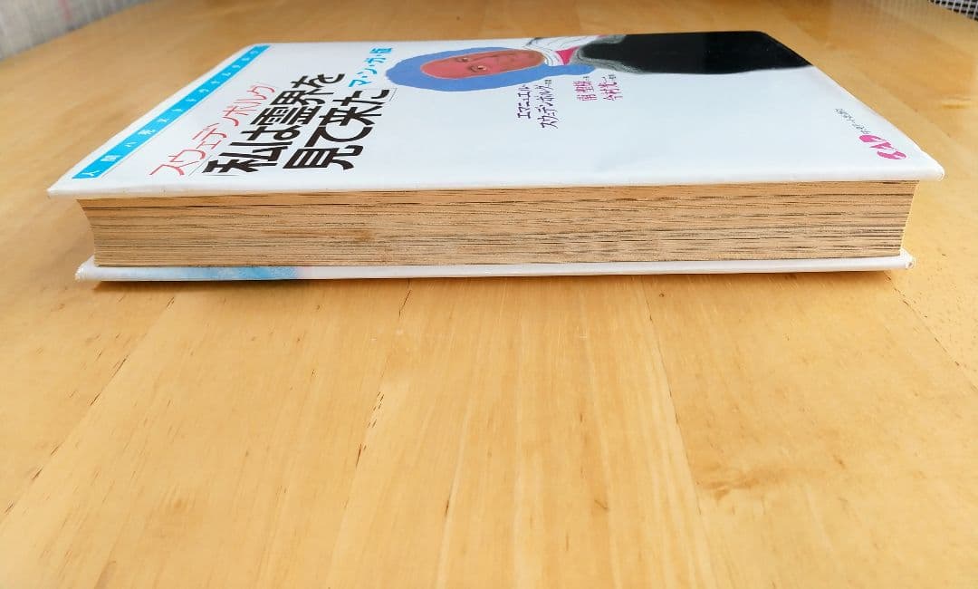 マンガ版 私は霊界を見て来た (心霊科学名著シリーズ)