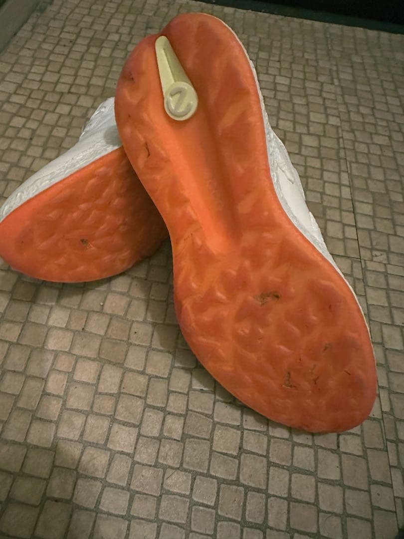 ゴルフシューズ　ecco エコー BIOM H5 BOA バイオム H5 ボア