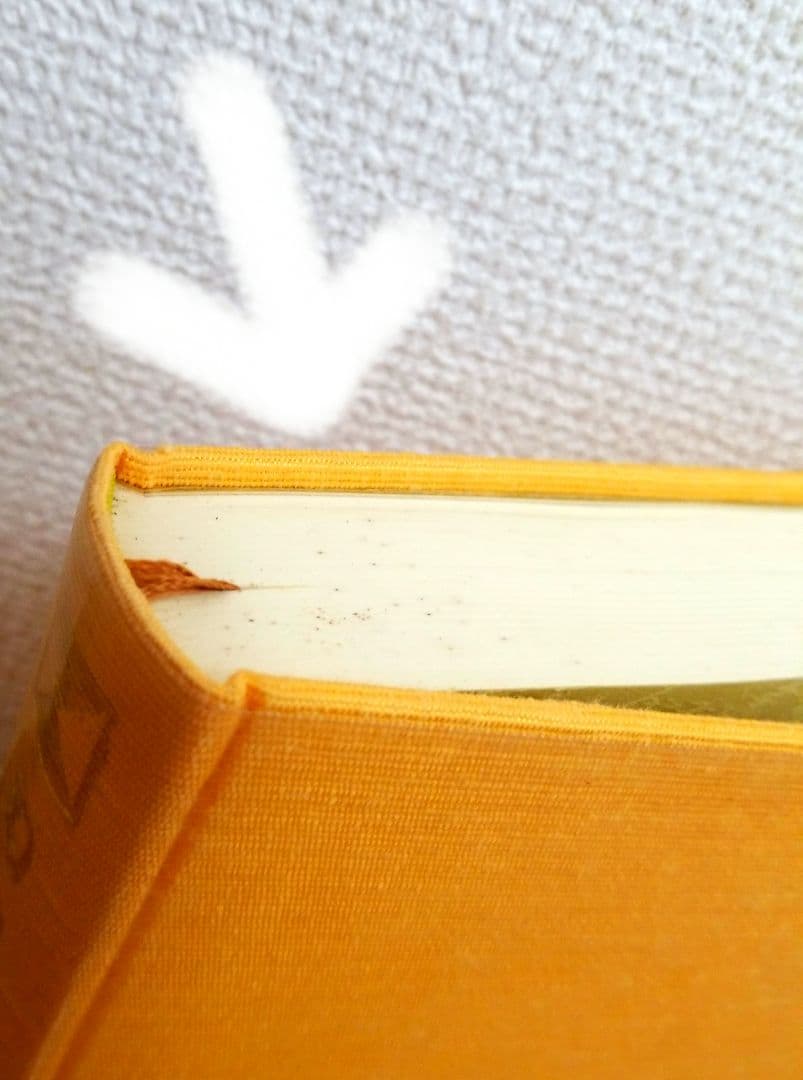 岡田光玉師 御対談集