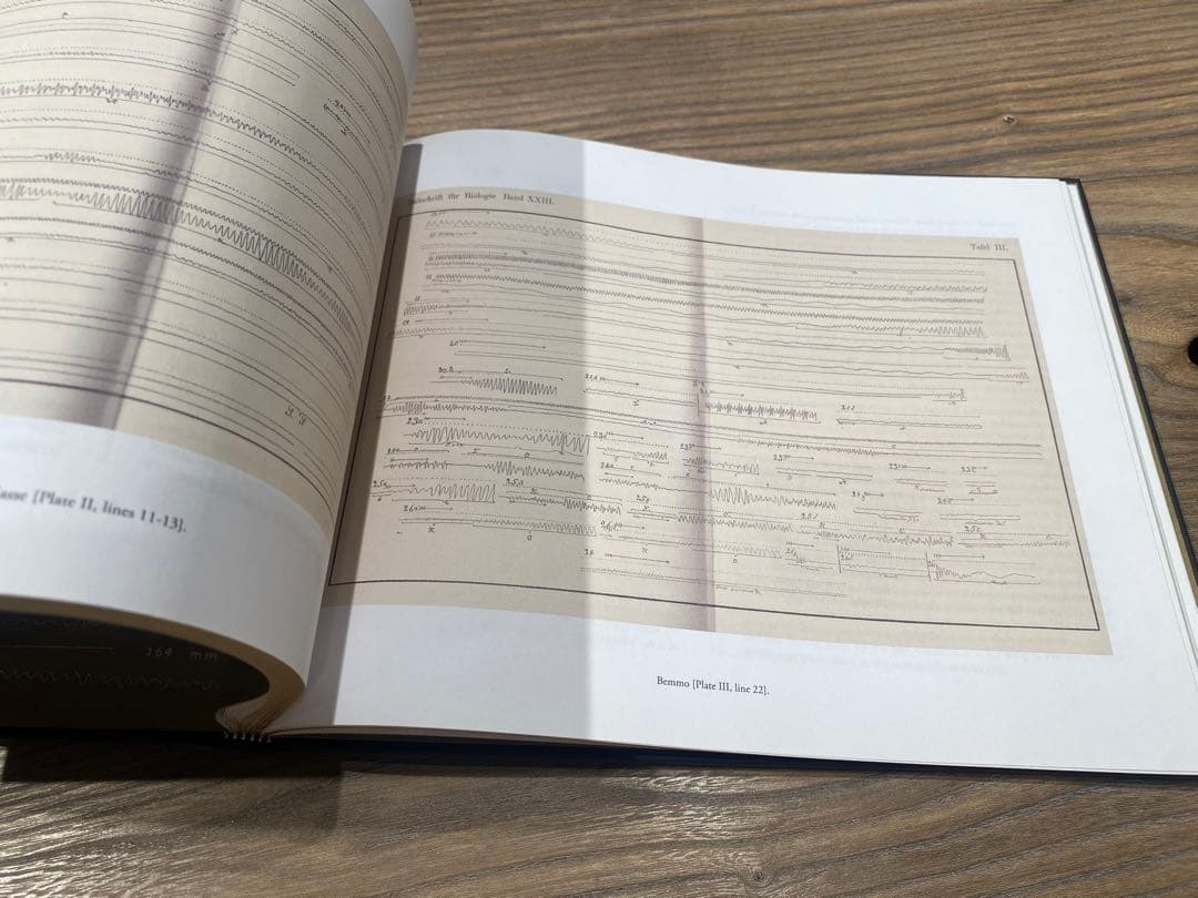 アート・デザイン・音楽 Patrick Feaster Pictures of Sound