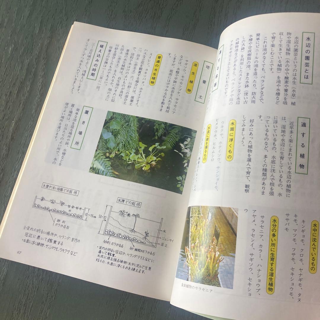 鹿児島の室内園芸 新しい園芸の楽しみ方 (鹿児島の園芸百科シリーズ) 瀬戸正徳