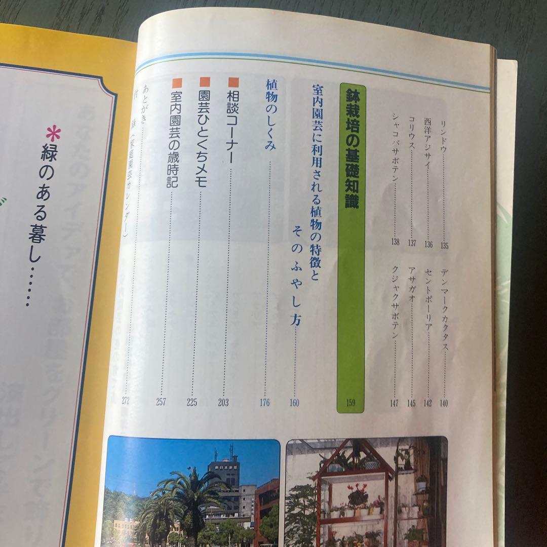 鹿児島の室内園芸 新しい園芸の楽しみ方 (鹿児島の園芸百科シリーズ) 瀬戸正徳