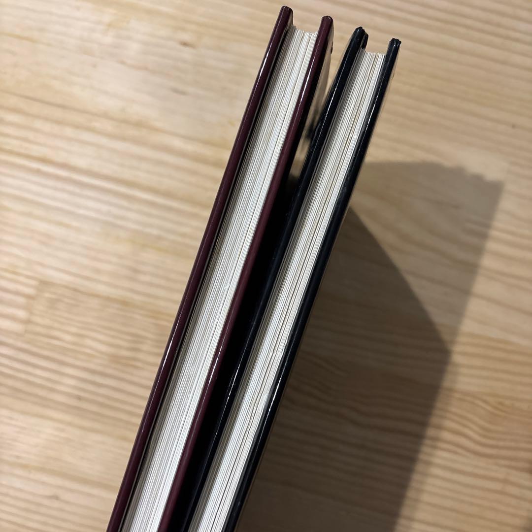 バイロス画集 2冊セット