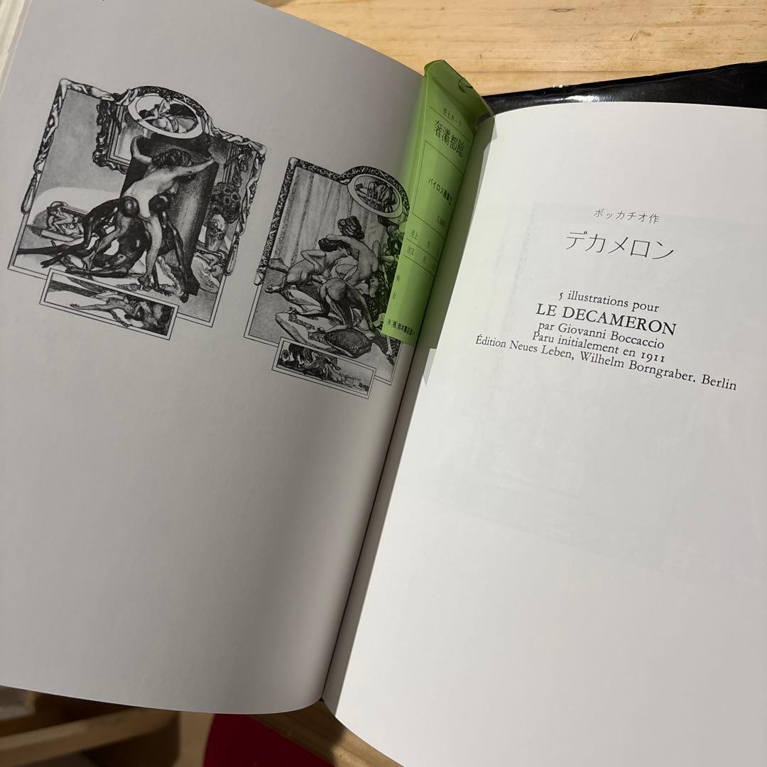 バイロス画集 2冊セット