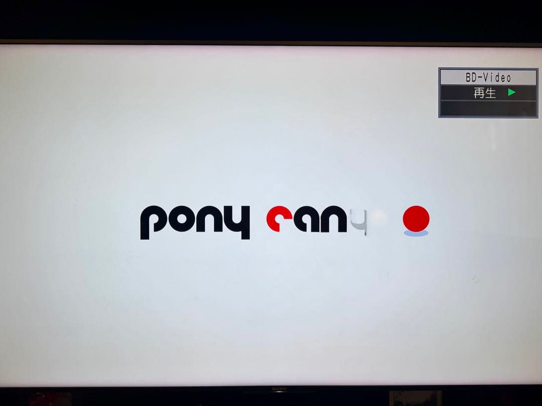 Panasonic ブルーレイレコーダー DMR-BRW1000