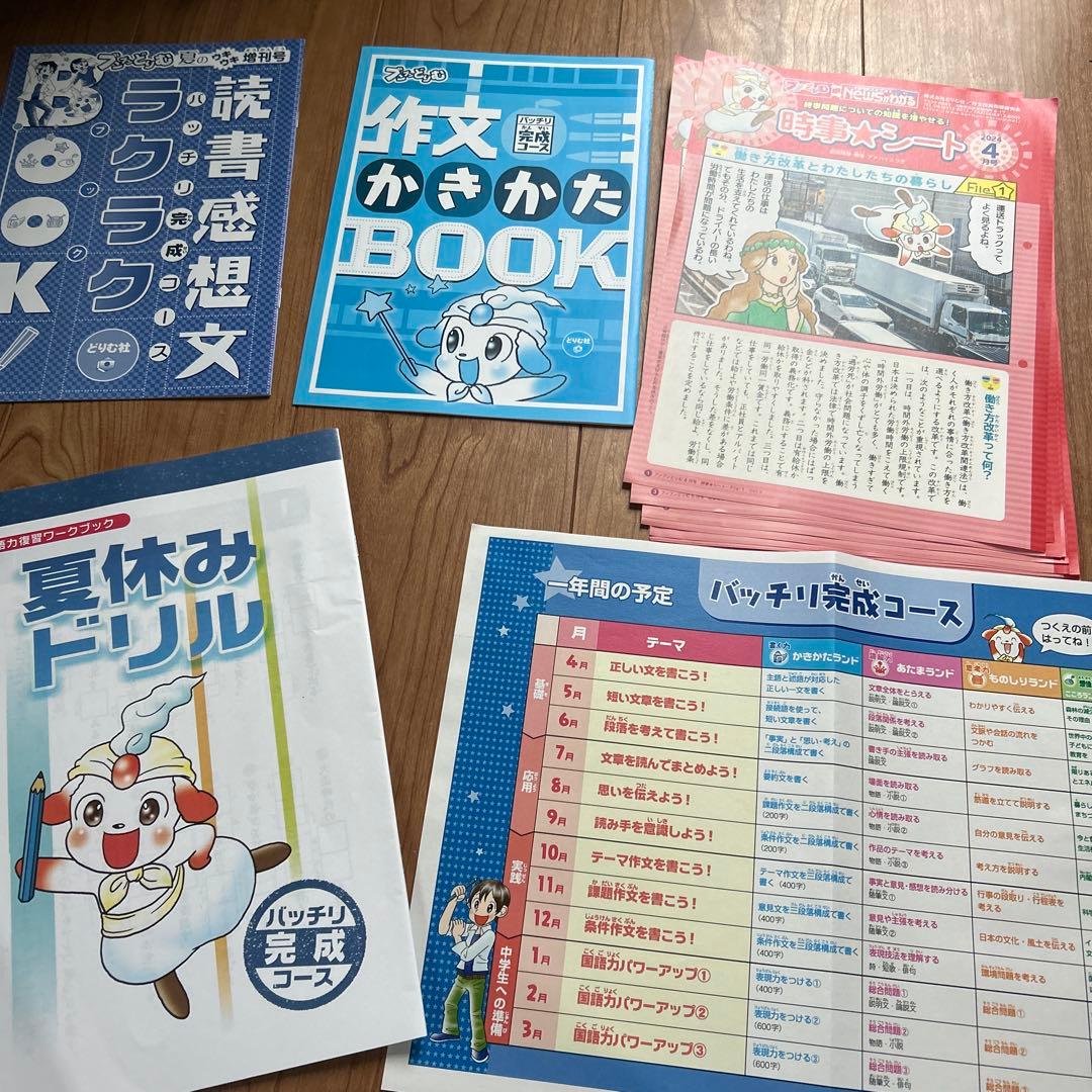 ブンブンたどりむ2024年度1年間分　受験対策模擬テスト込み