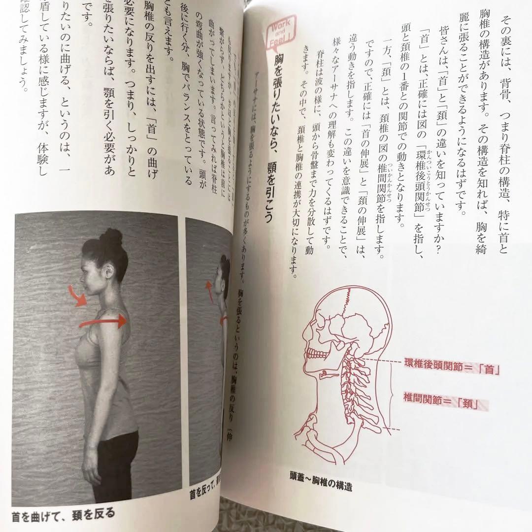 アナトミーフォーヨガ　ヨーガ　YOGA　DVD　体感して学ぶヨガの解剖学