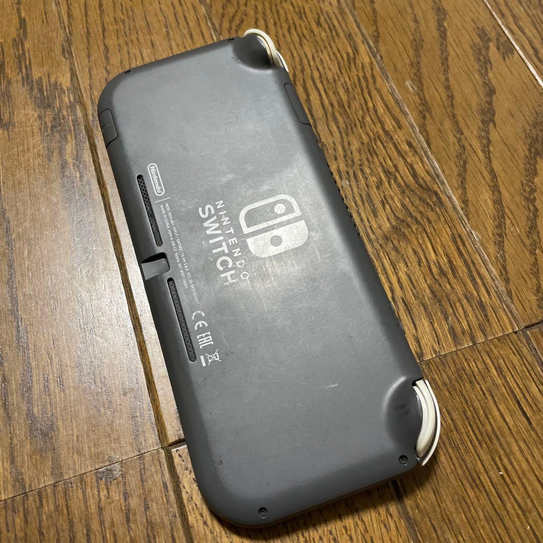 Nintendo Switch Pro Controller & Lite セッ