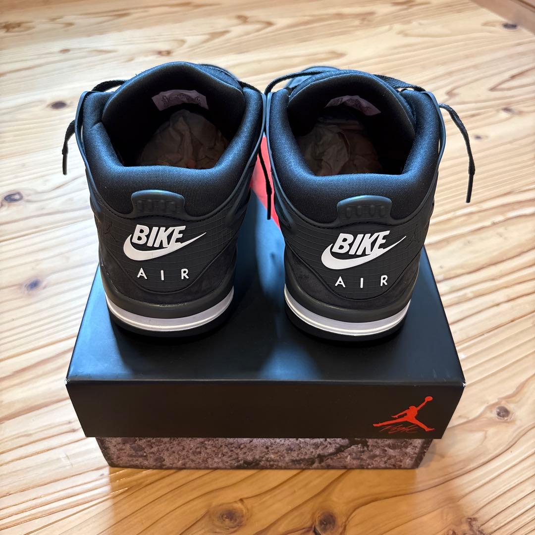 フリーハンド Sylvester × Nike Air Jordan 4