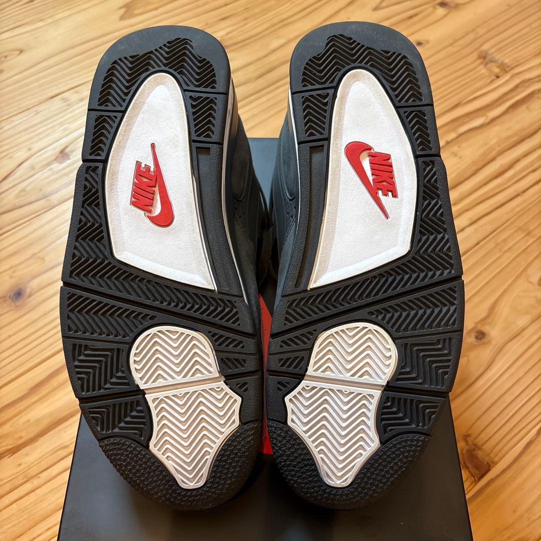 フリーハンド Sylvester × Nike Air Jordan 4