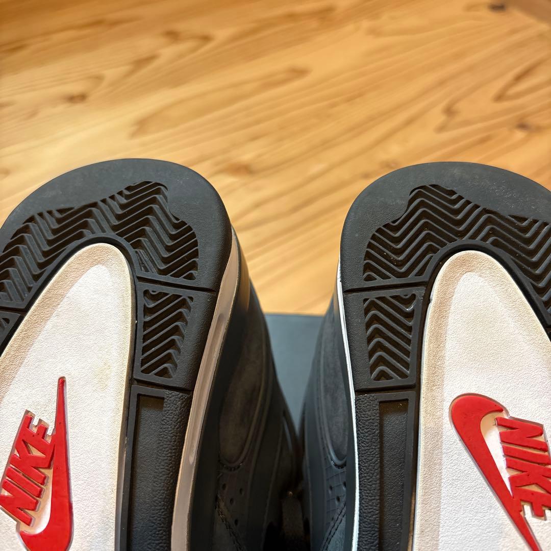 フリーハンド Sylvester × Nike Air Jordan 4