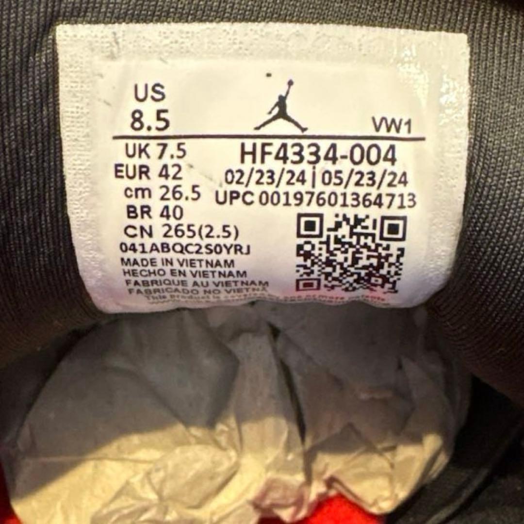 フリーハンド Sylvester × Nike Air Jordan 4