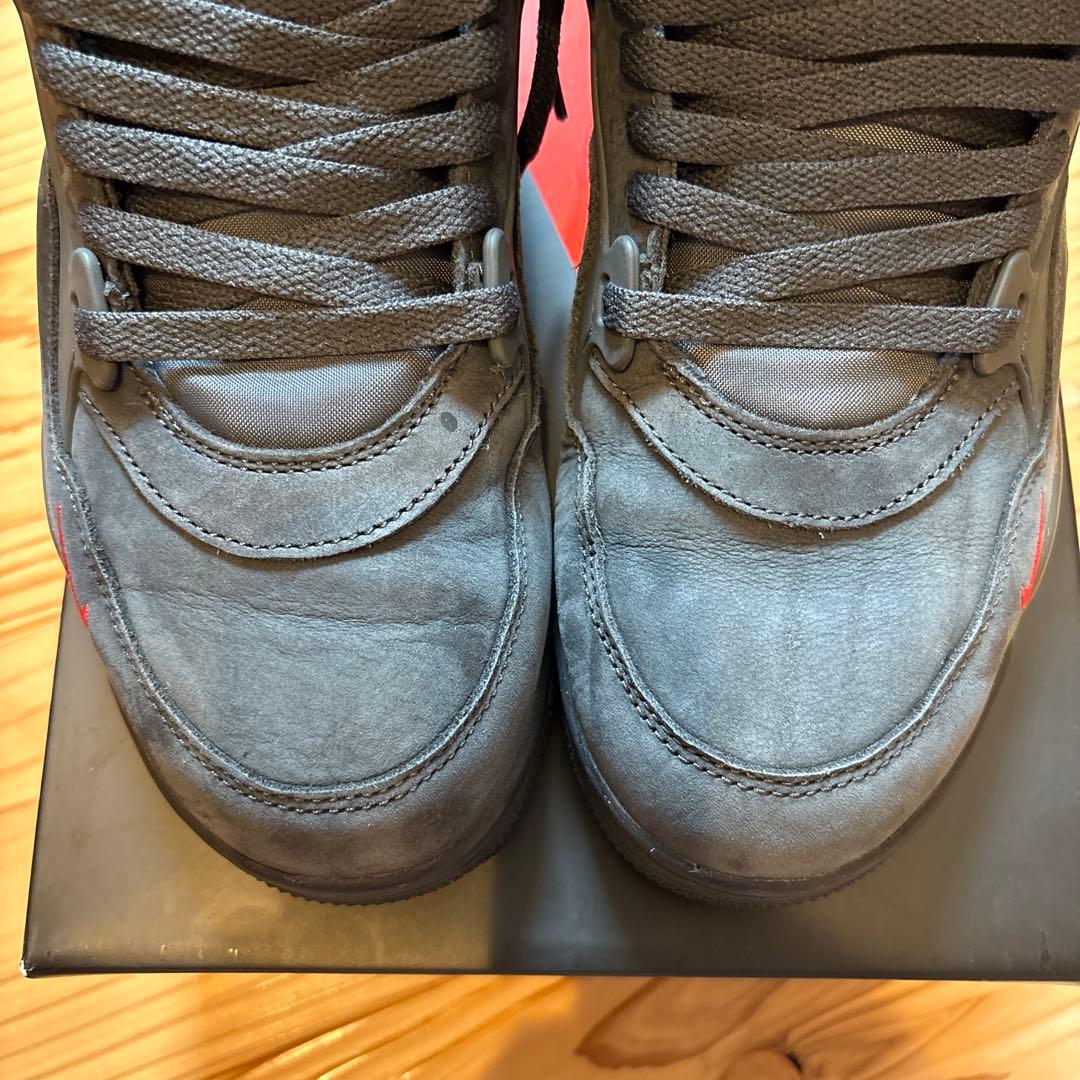 フリーハンド Sylvester × Nike Air Jordan 4