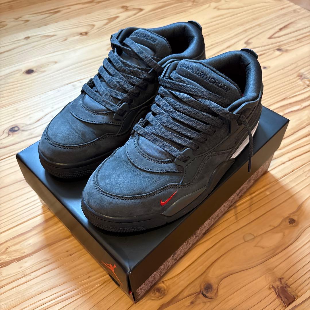 フリーハンド Sylvester × Nike Air Jordan 4